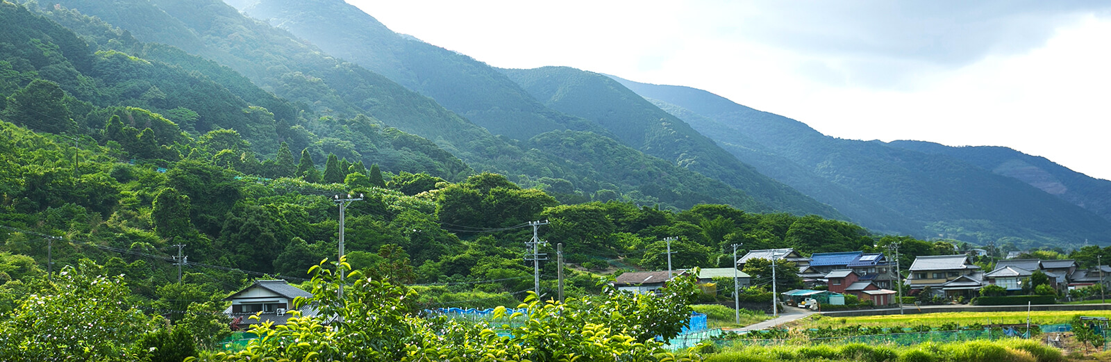 三重県桑名市多度町「二段仕込み」おかきの製造・販売 多度うまおかき