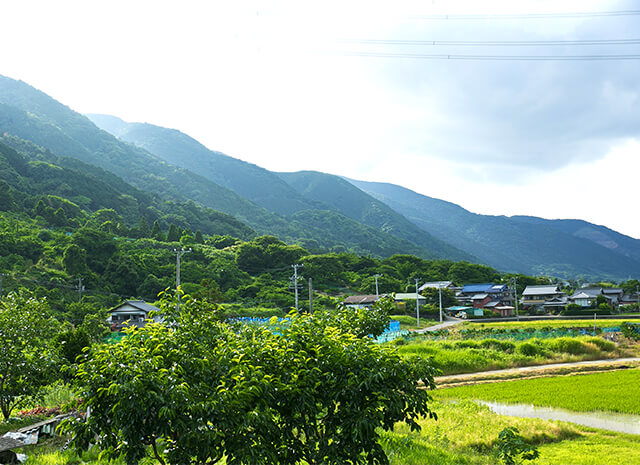 三重県桑名市多度町「二段仕込み」おかきの製造・販売 多度うまおかき